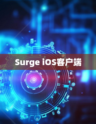Surge iOS客户端