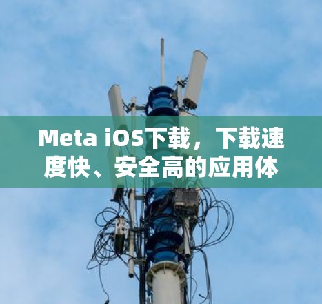 Meta iOS下载,下载速度快、安全高的应用体验