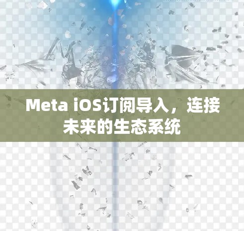 Meta iOS订阅导入,连接未来的生态系统