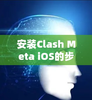 安装Clash Meta iOS的步骤如下