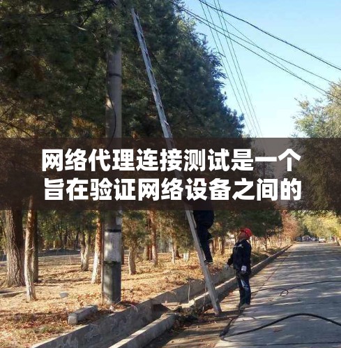 网络代理连接测试是一个旨在验证网络设备之间的连接是否正常的过程。以下是对该过程的详细总结和步骤说明,帮助你更好地理解和掌握这一概念