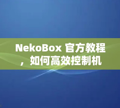 NekoBox 官方教程,如何高效控制机器人