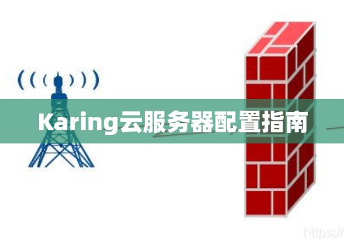 Karing云服务器配置指南