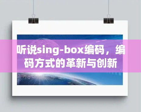 听说sing-box编码，编码方式的革新与创新