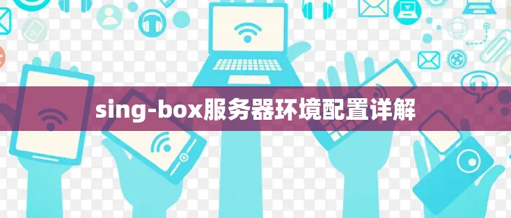 sing-box服务器环境配置详解