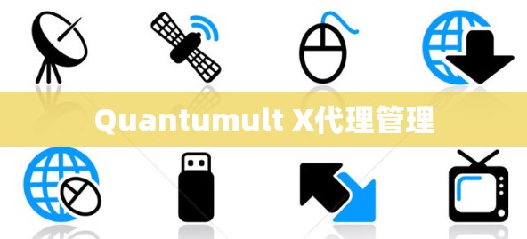 Quantumult X代理管理