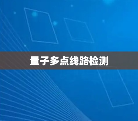 量子多点线路检测