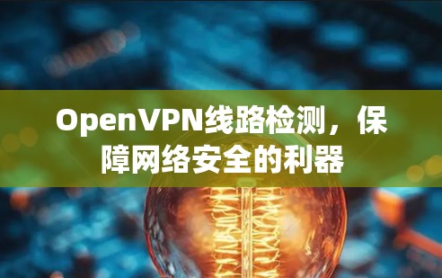 OpenVPN线路检测，保障网络安全的利器