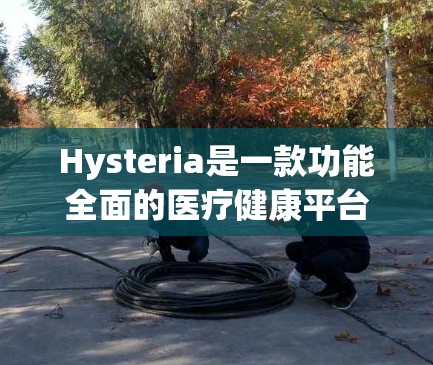Hysteria是一款功能全面的医疗健康平台，旨在帮助用户管理他们的健康状况。以下是其使用方法的详细步骤