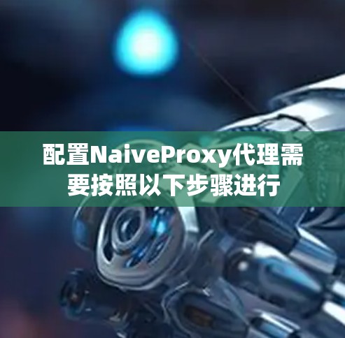 配置NaiveProxy代理需要按照以下步骤进行