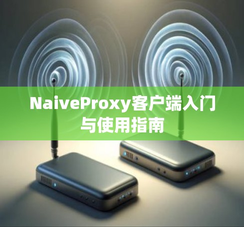 NaiveProxy客户端入门与使用指南