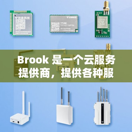 Brook 是一个云服务提供商，提供各种服务器管理、监控和安全解决方案。如果你需要设置Brook服务器，具体操作步骤取决于你使用的版本和配置。以下是一些常见的设置信息和步骤，适用于大多数版本