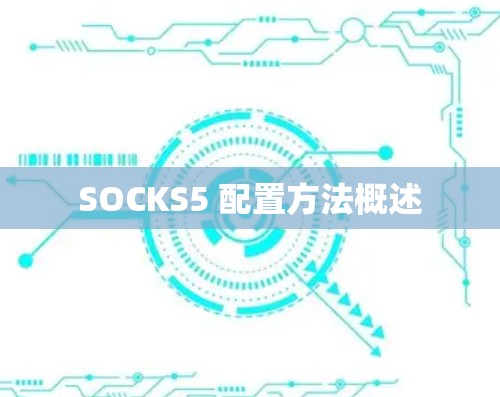 SOCKS5 配置方法概述