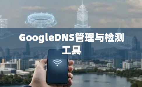 GoogleDNS管理与检测工具