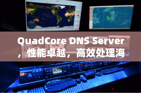 QuadCore DNS Server，性能卓越，高效处理海量数据
