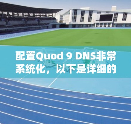 配置Quod 9 DNS非常系统化,以下是详细的步骤指南