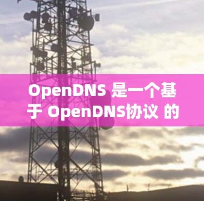 OpenDNS 是一个基于 OpenDNS协议 的域名管理工具，支持DNS注入、DNS 重定向、域名镜像管理等高级功能。以下是一步步的使用指南