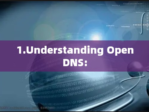 1.Understanding OpenDNS: