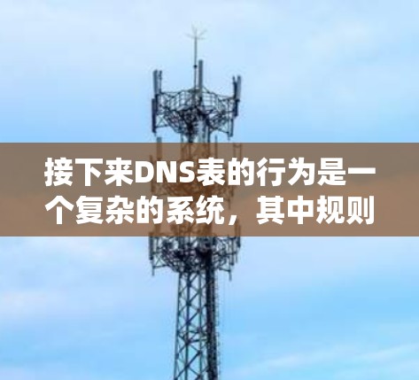 接下来DNS表的行为是一个复杂的系统，其中规则是定义这些行为的关键部分。以下是关于NextDNS规则管理的详细步骤和建议