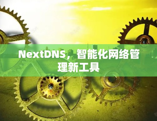 NextDNS,智能化网络管理新工具