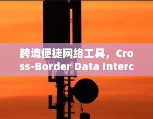 跨境便捷网络工具，Cross-Border Data Interconnection