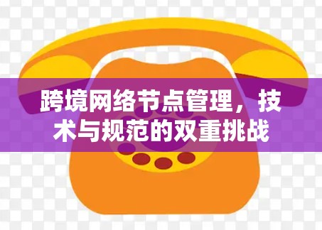 跨境网络节点管理,技术与规范的双重挑战