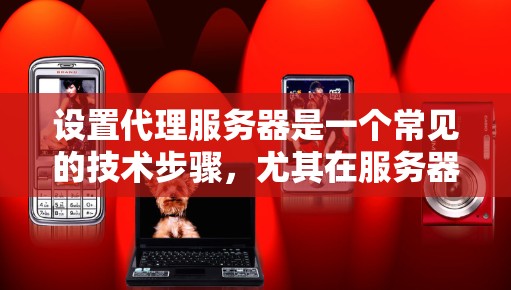 设置代理服务器是一个常见的技术步骤,尤其在服务器配置中用于优化用户体验和提高服务器的性能。以下是对代理服务器设置的详细步骤