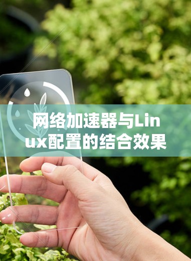 网络加速器与Linux配置的结合效果