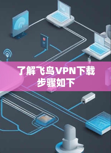 了解飞鸟VPN下载步骤如下