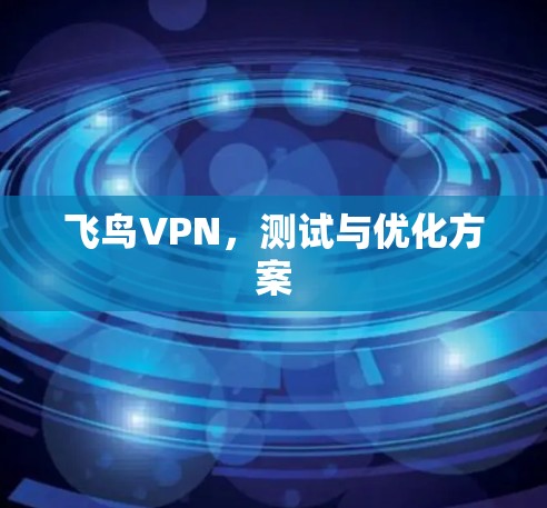 飞鸟VPN,测试与优化方案