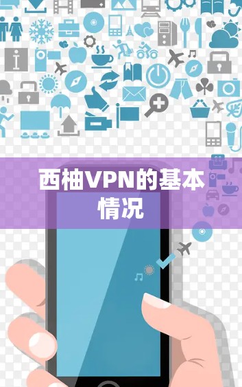 西柚VPN的基本情况