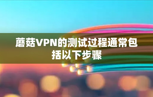 蘑菇VPN的测试过程通常包括以下步骤